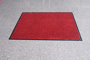 Disinfecting Mat