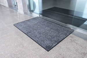 Disinfecting Mat