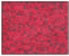 Disinfecting Mat