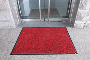 Disinfecting Mat