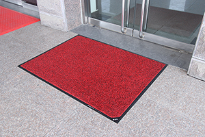 Disinfecting Mat